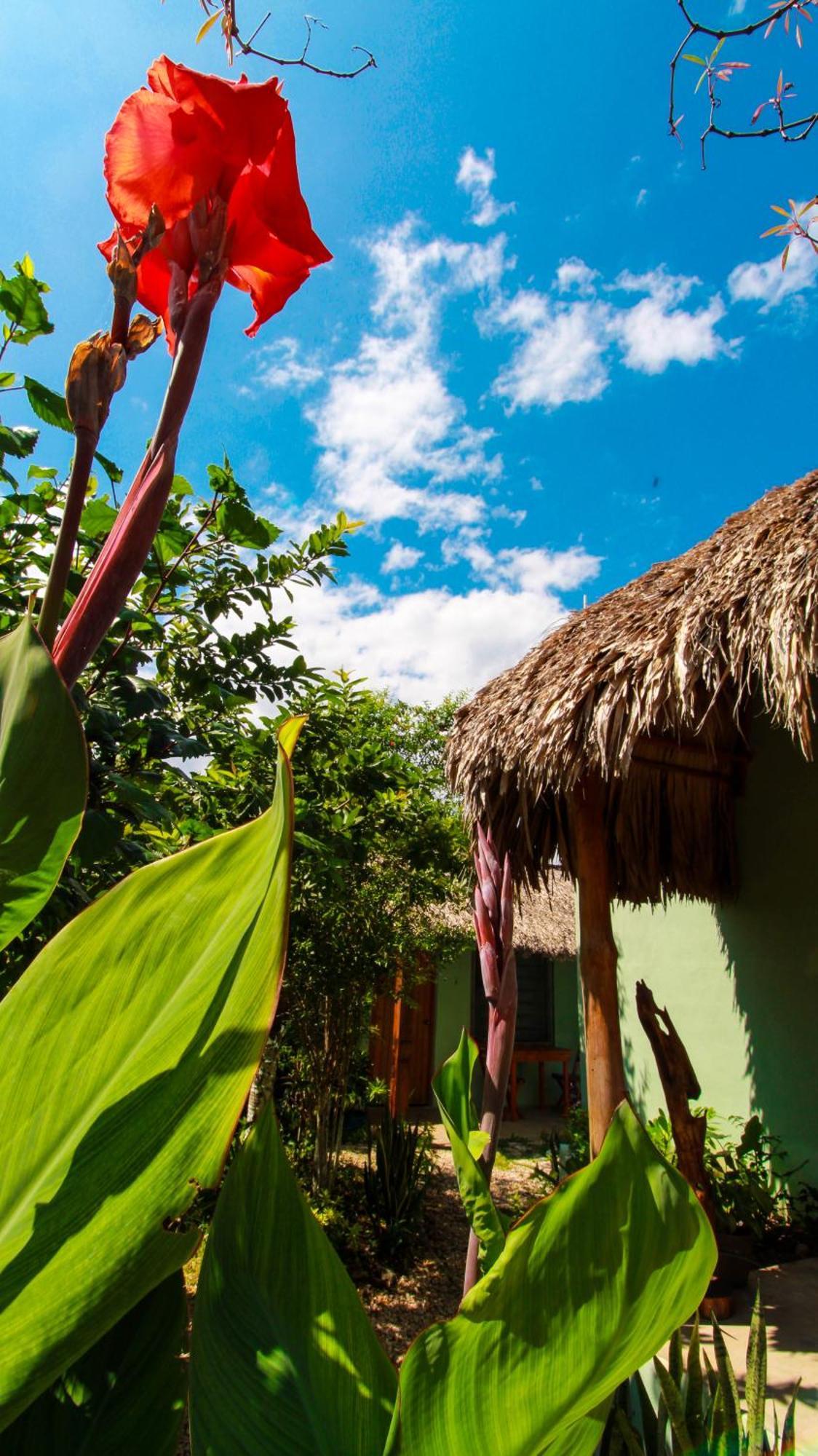 Las Palmas Bacalar Exterior photo