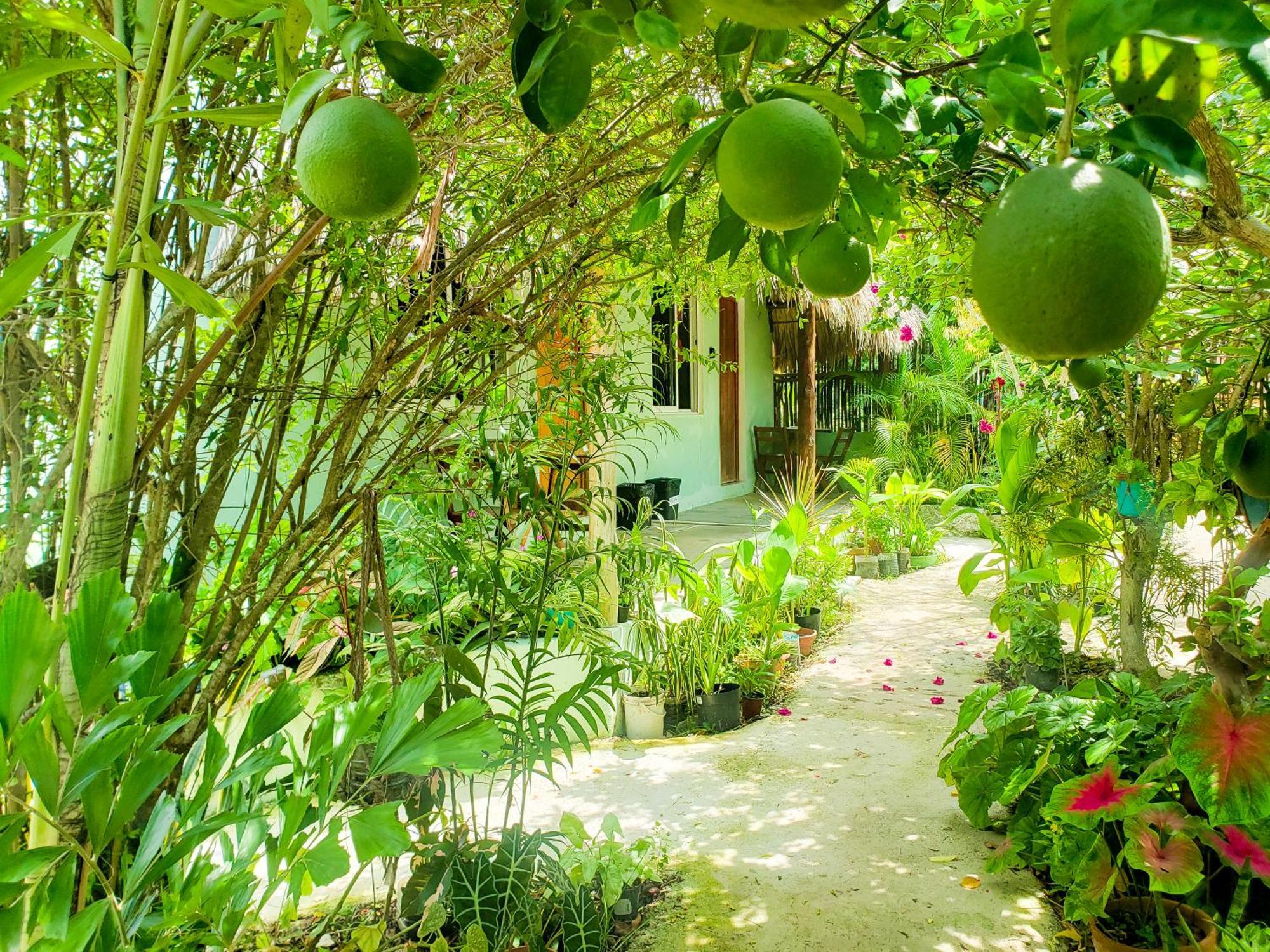 Las Palmas Bacalar Exterior photo
